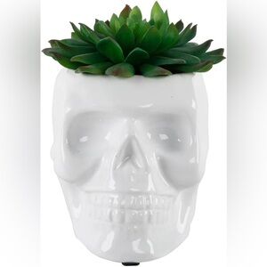 Flora Bunda Ceramic Sugar Skull Succulent White Skull Planter Green Succulent